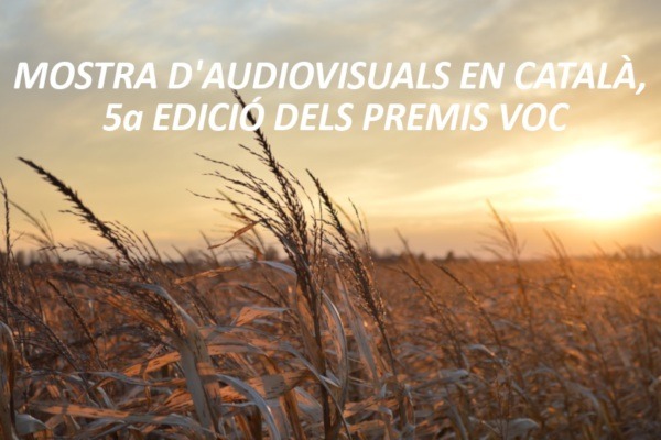 5th edition of the VOC Awards – February 2021