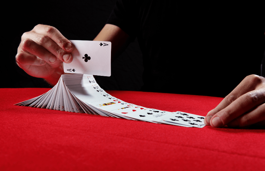 magia estartit fimag
