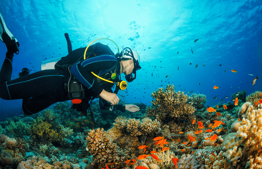 submarinismo estartit